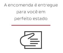 a encomenda é entregue para você em perfeito estado - Processo do Pickup Jadlog