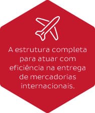 A estrutura completa para atuar com eficiência na entrega de mercadorias internacionais.